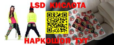 дживик Донской