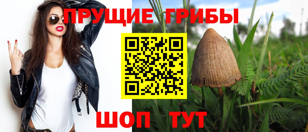 Псилоцибиновые грибы Psilocybine cubensis  закладки  Михайловка  Галлюциногенные грибы Magic Shrooms  Вход с VPN 